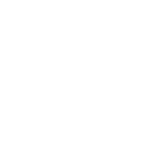 demo.fusiontriage.com favicon